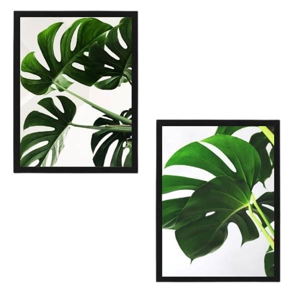 Quadro Decorativo Costela De Adão Com Vidro 24X18Cm 2 Peças