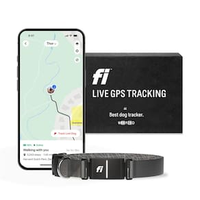 Rastreador GPS Smart Dog Collar Fi Series 3 à prova d`água cinza