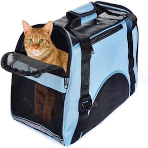 Mochila Pet Cachorro Bolsa Transporte Gato Canguru Caes Dobravel Mala Viagem Aviao Carro Azul