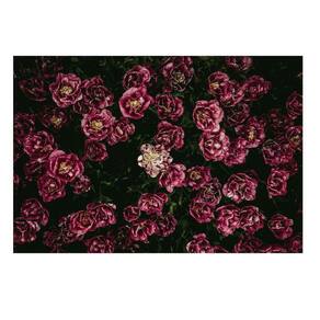 Fundo Fotográfico Newborn 3D Dia Das Mães Floral 2,60X1,70