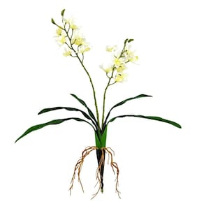 Orquídea Branca Trichoglottis 45X39Cm Planta Artificial