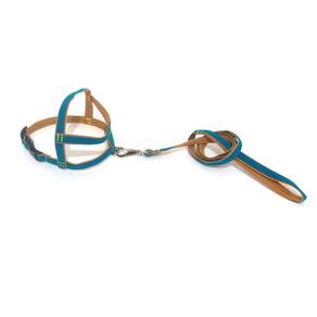 Conjunto Peitoral de Veludo liso verde tamanho 05