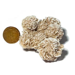 Jardim do Deserto Pedra Bruto Natural 100 a 150g Classe B
