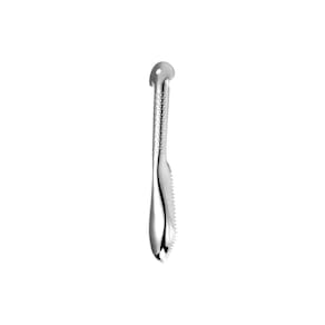 Espatula Raspador Limpador de Escamas de Peixe Aço Inox