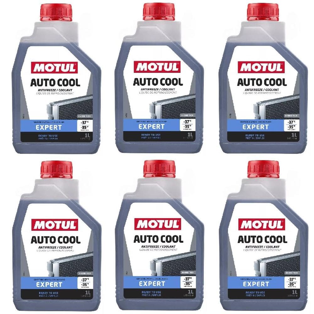 Kit Com 6 Fluido Motul Auto Cool Expert Radiador Arrefecimento -37º Br 1L