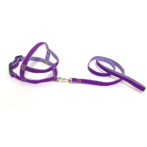 Conjunto Peitoral de Veludo liso roxo tamanho 05