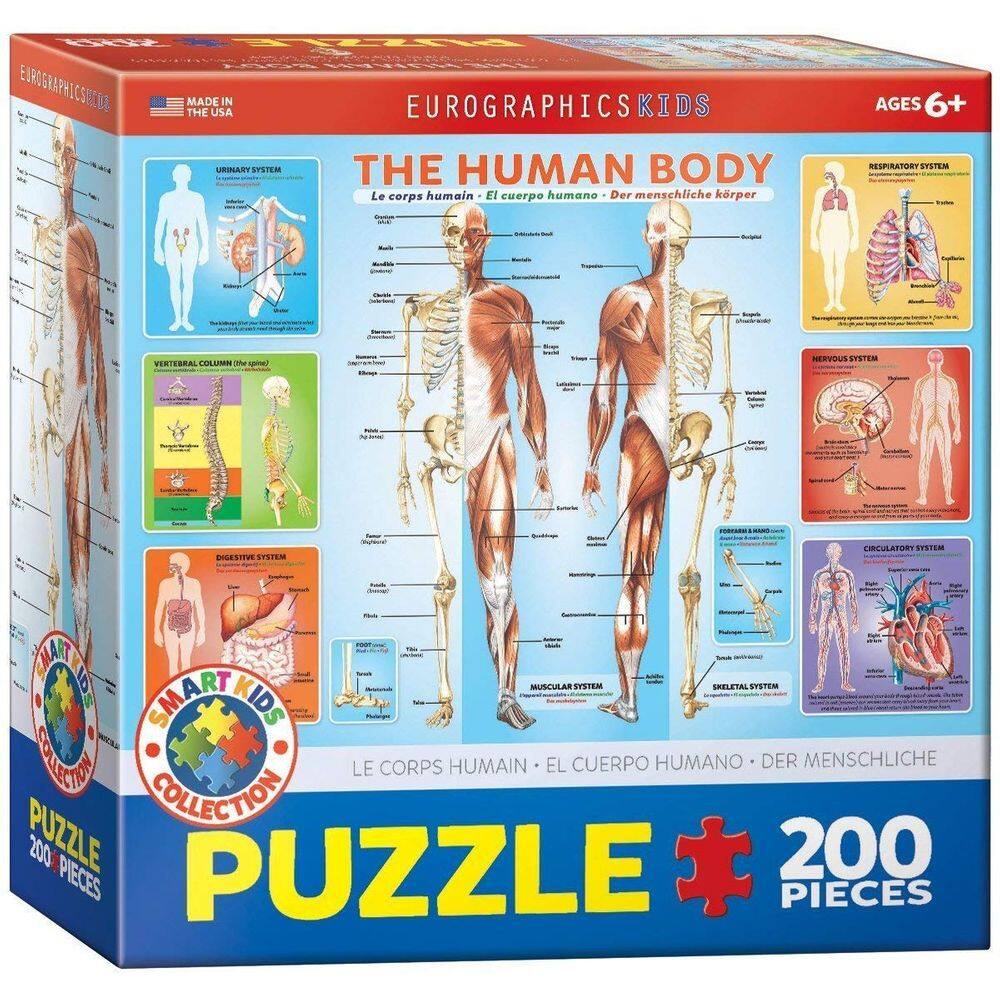 Quebra-cabeça EuroGraphics Human Body 200 peças para crianças