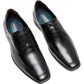 Sapato Democrata Metropolitan Pointer Hi-Soft Masculino
