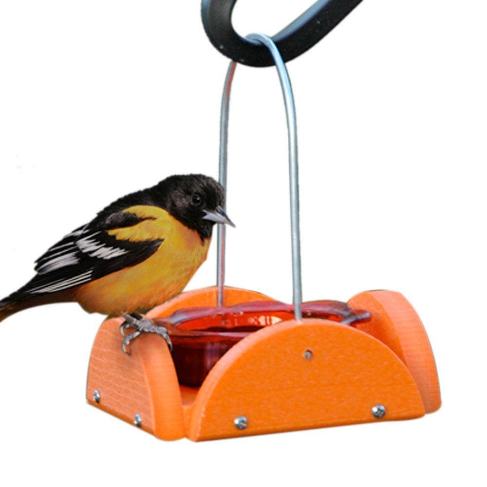 Alimentador Oriole Woodlink Verde Laranja com capacidade de 118 mL