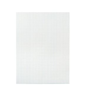 Papel milimetrado School Smart 1/4 de polegada Rule 9x12cm 500 folhas
