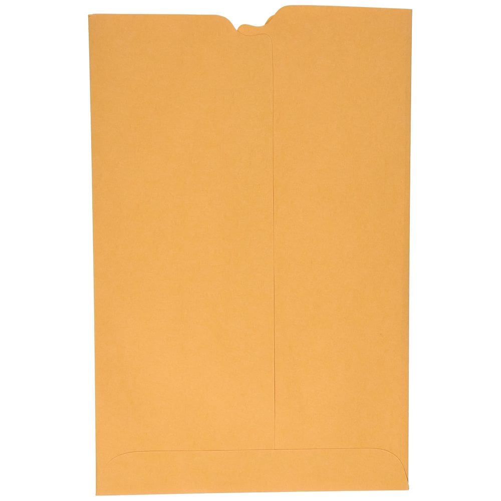 Envelope de boletim escolar School Smart Kraft, 6x9 polegadas, pacote com 100