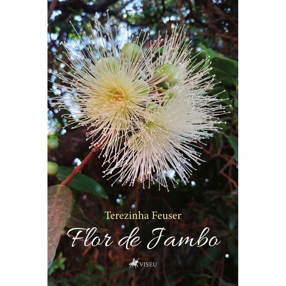 Flor de Jambo
