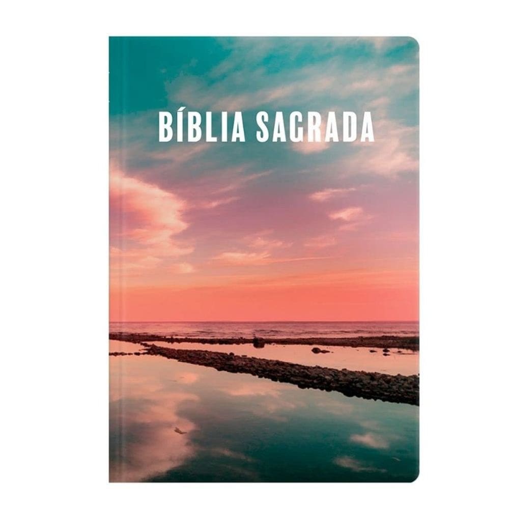 263.177 - Biblia Rc Evangelize Letra Grande Brochura Neutra