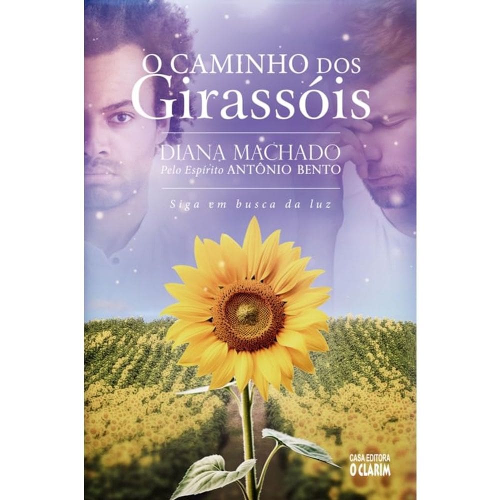 O Caminho dos Girassois