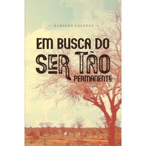 Em busca do ser tão permanente