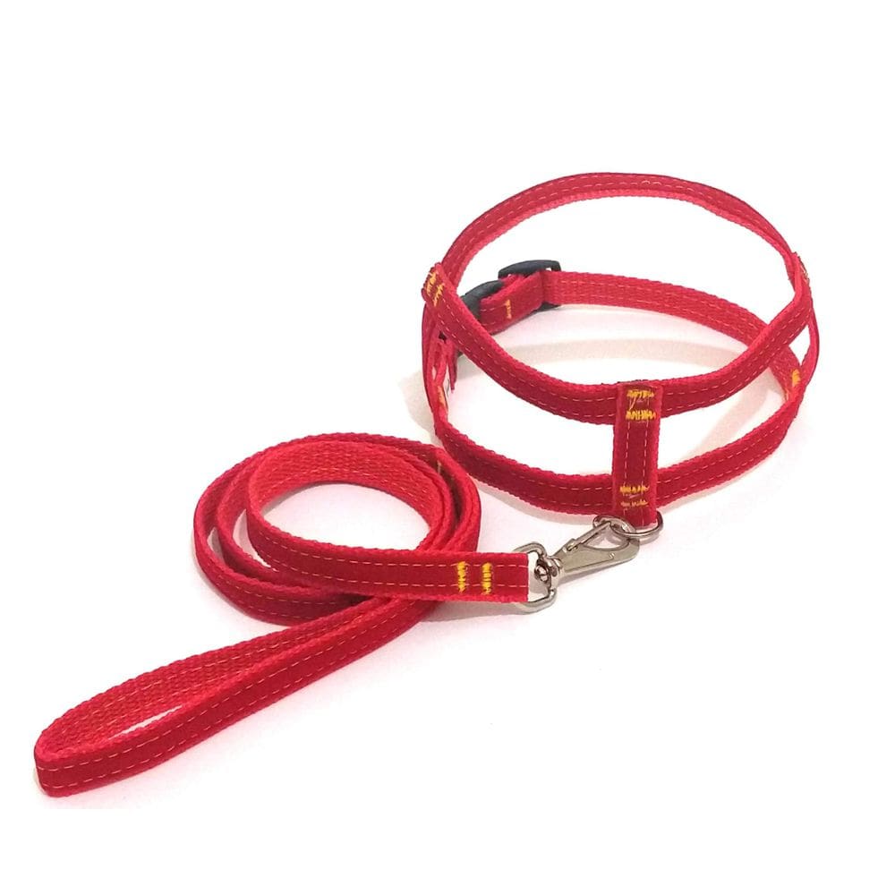 Conjunto Peitoral de Veludo liso vermelho tamanho 02