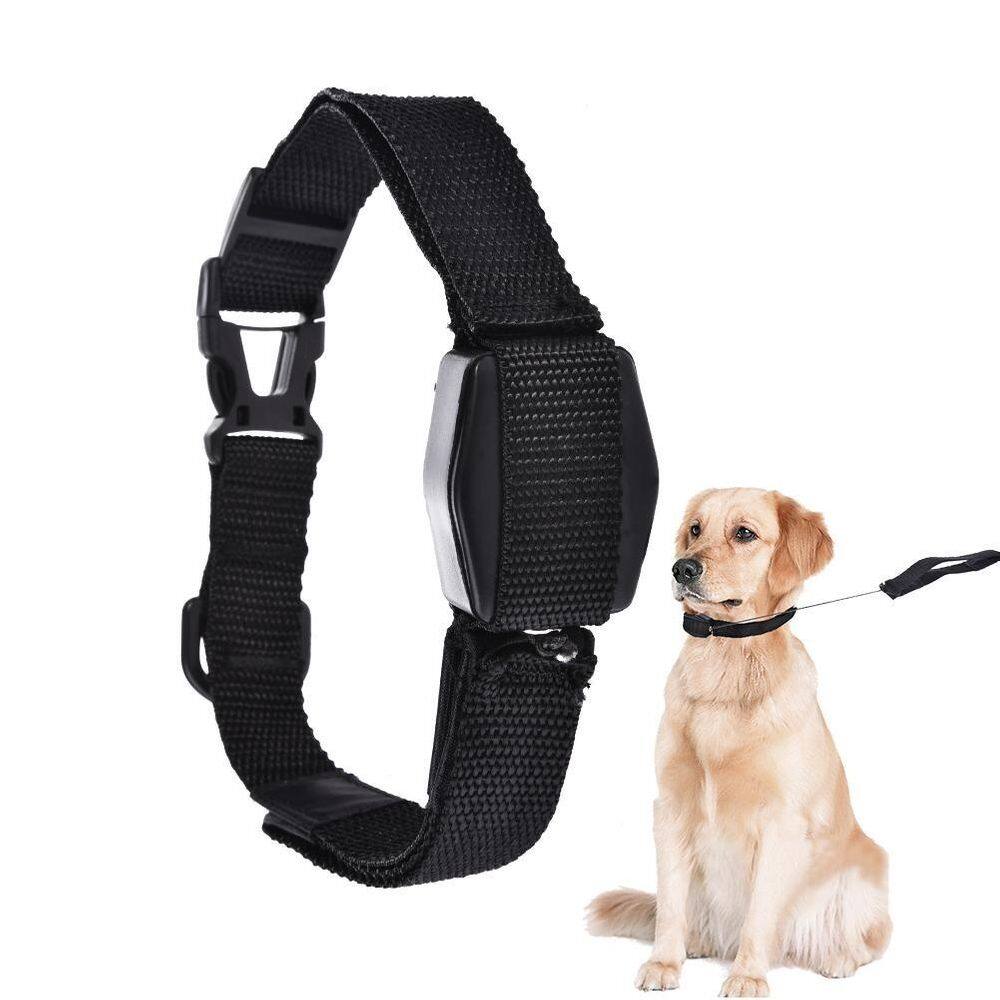 Guia Coleira Magnetica Cachorro 2 Em 1 Retratil Alca Caes Gatos Treinamento Adestramento Lucky Leash