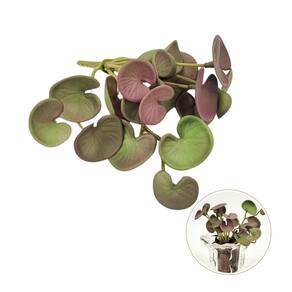 Suculenta Peperomia Roxa 13Cm Folhagem Artificial