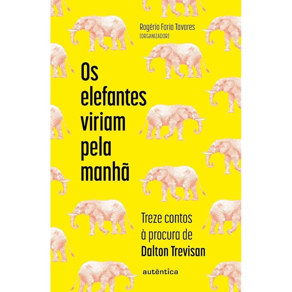 Os elefantes viriam pela manhã:(1606)