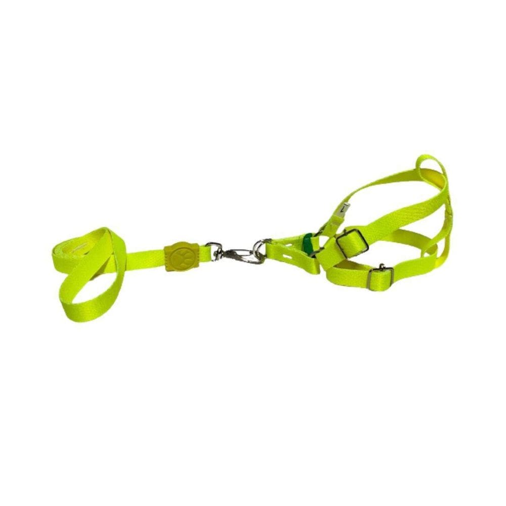 Coleira Peitoral Neon Para Cães Americano 15Mm - Amarelo Nº4