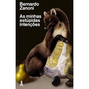 As minhas estúpidas intenções(3107)