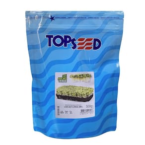 Sementes Microverde Mostarda Lisa da Florida (500g) TOPSEED