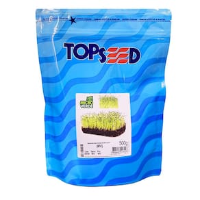 Sementes Microverde Alho-Poró (500g) TOPSEED