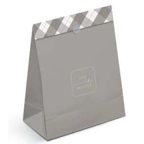 Kit Saco De Papel Para Presente Gg 41x32,5x13cm Trevor - 10 Un