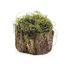 Tronco Decorativo Vertical Musgo-madeira P 16x20x18cm Verde-marrom - 1 Un