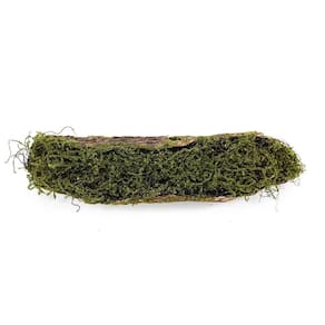 Tronco Decorativo Horizontal Musgo-madeira M 15x70x14cm Verde-marrom - 1 Un