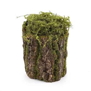 Tronco Decorativo Vertical Musgo-madeira M 18x18x25cm Verde-marrom - 1 Un