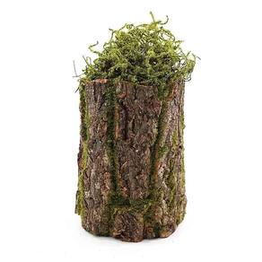 Tronco Decorativo Vertical Musgo-madeira G 18x18x35cm Verde-marrom - 1 Un