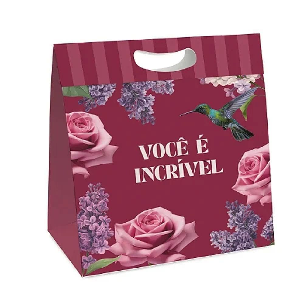 Kit Caixa New Plus M 23x8,5x30cm Brigitte - 10 Un