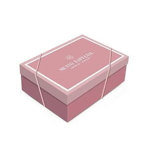 Kit Caixa Retangular Com Tampa Camélia M 35x25x11cm - 10 Un