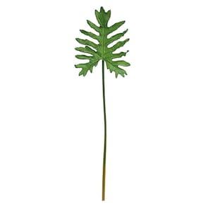 Folhas Decorativas Permanentes - Costela De Adão 89cm Verde - 1 Haste