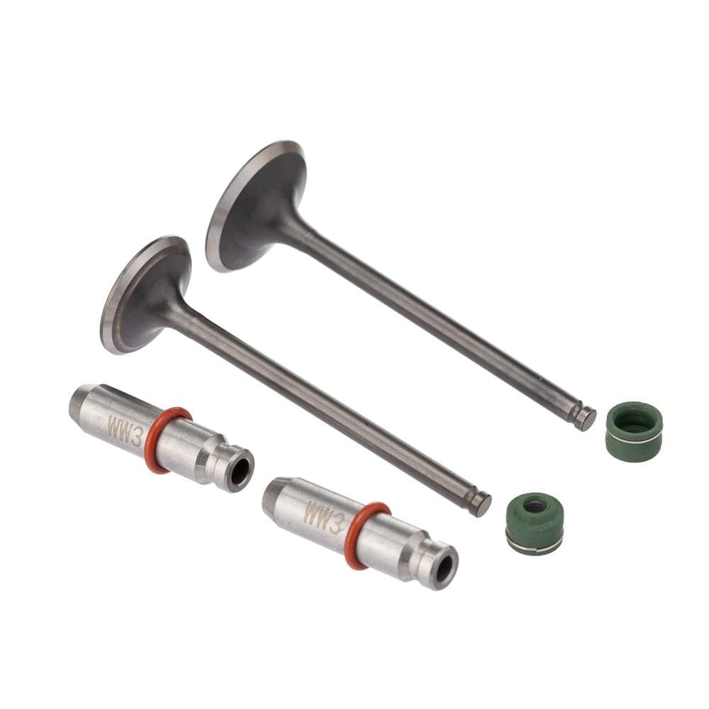 Valvula Guia E Retentor Kit (6pcs) Ww3 Cg 150 04/15 Reten. Verde [F016]