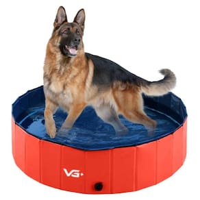Piscina Para Pets Animais De Estimação 160x30cm Vermelha Vg+