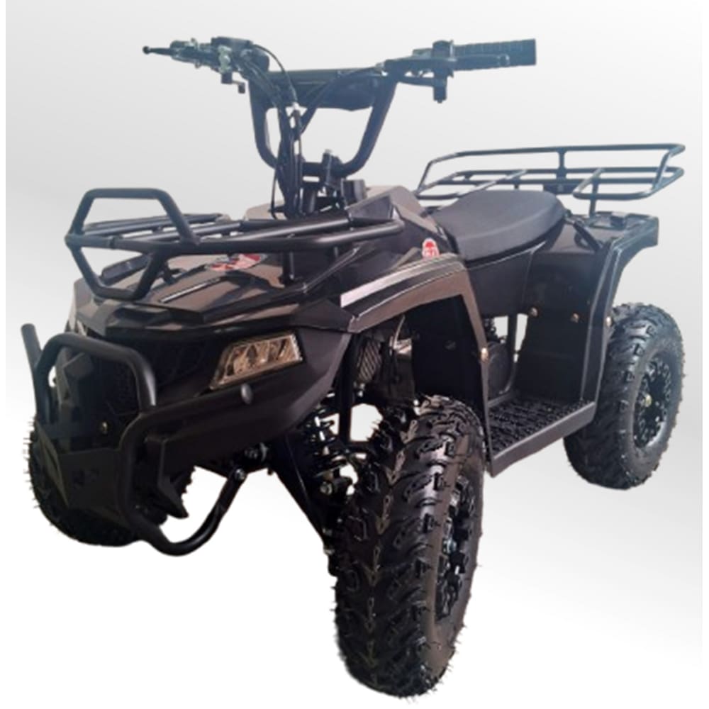 Quadriciclo 49cc Mini Touro Preto Automático Partida Elétrica Farol Gasolina com Óleo 2 Tempos BARZI MOTORS