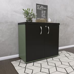 Armário para Escritório Baixo 2 Portas com Chave Salvia/Preto