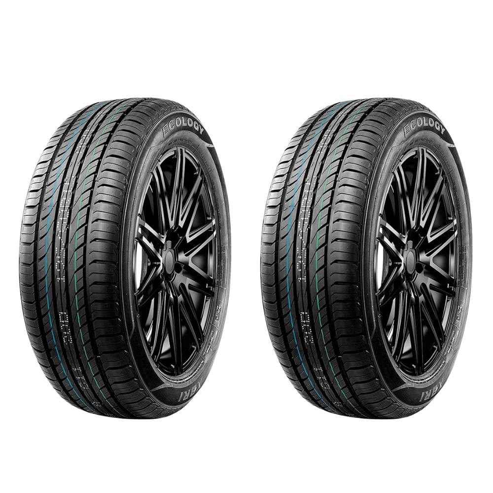 Kit 2 Pneus 225/65R17 102H Ecology C1 Xbri