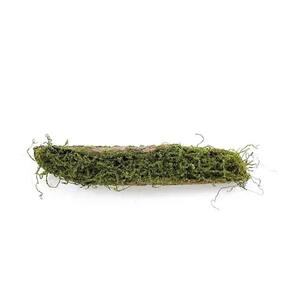 Tronco Decorativo Horizontal Musgo-madeira P 9x46x12cm Verde-marrom - 1 Un