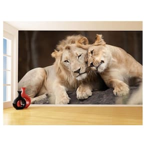 Papel De Parede 3D Animais Leão Família Casal 3,5M Anm539
