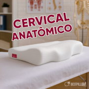 Travesseiro Cervical Ortopédico Dores Costas Pescoço Branco Dormir Luxo Premium Best Pillow