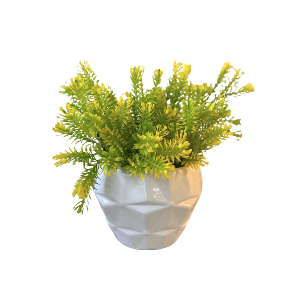 Vaso Em Cerâmica Com Planta Branco Strasbourg Elements 12,5x9,5cm