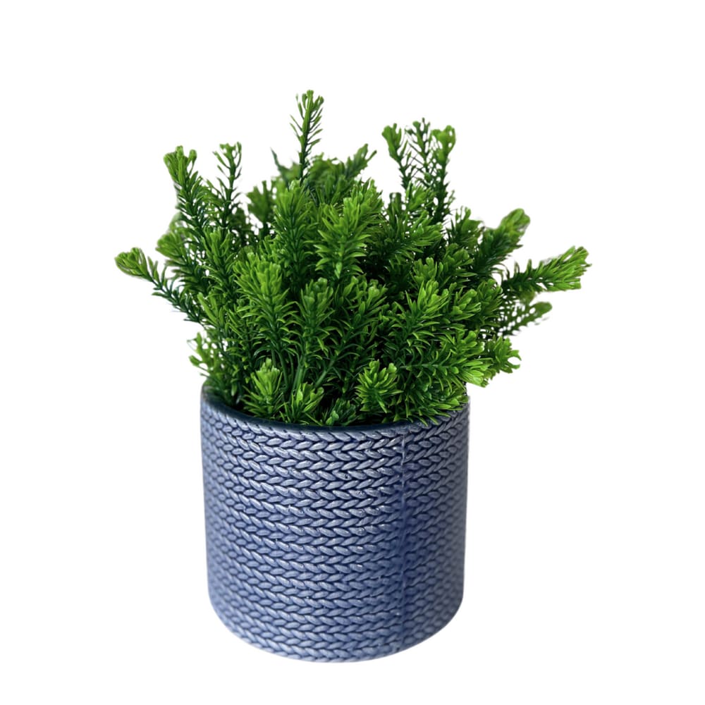 Vaso Em Cerâmica Com Planta Basic Azul Strasbourg Elements 15x13cm