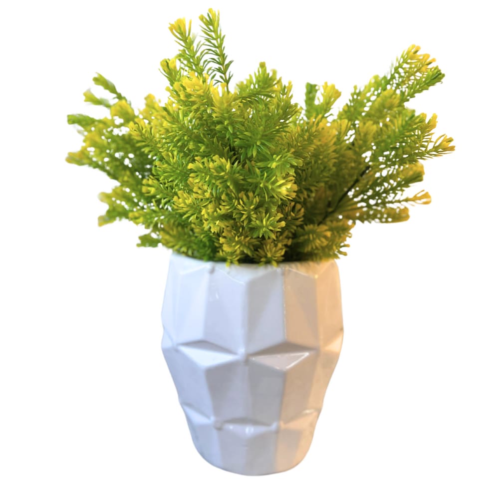 Vaso Em Cerâmica Com Planta Branco Strasbourg Elements 15x16,5cm