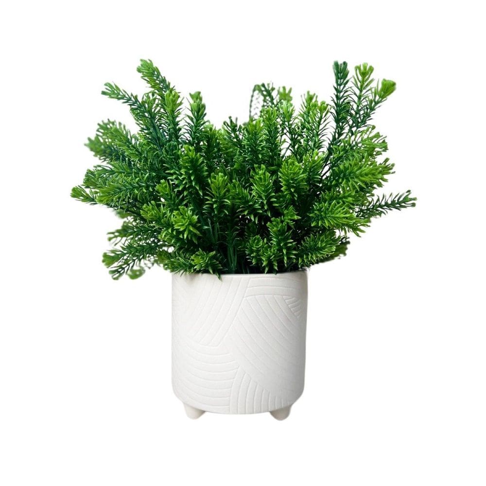 Vaso Em Cerâmica Com Planta Basic Branco Strasbourg Elements 12x13cm
