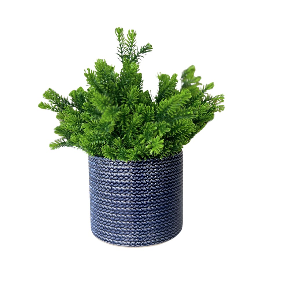 Vaso Em Cerâmica Com Planta Basic Azul Strasbourg Elements 13x11cm