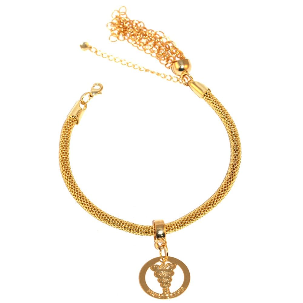Pulseira Berloque Fisioterapia Fisioterapeuta Folheado 18k
