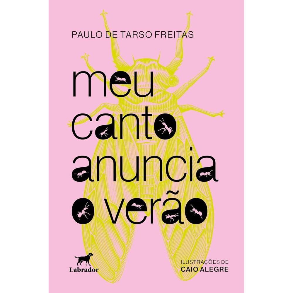 Meu canto anuncia o verão(2905)